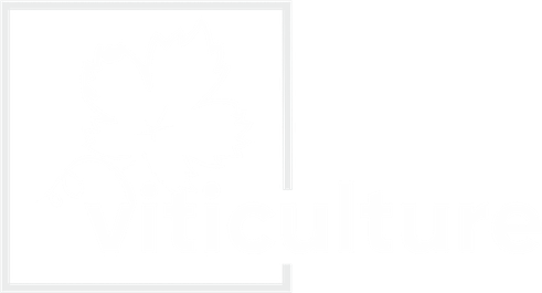 Viticultură