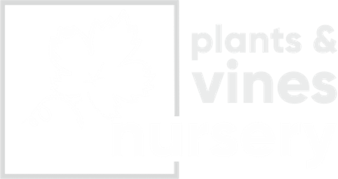 Plants & Vines Nursery